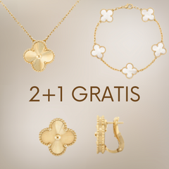 Inspire Clover Pakket [KETTING + ARMBAND + OORBELLEN] [2+1 GRATIS] – Byloro