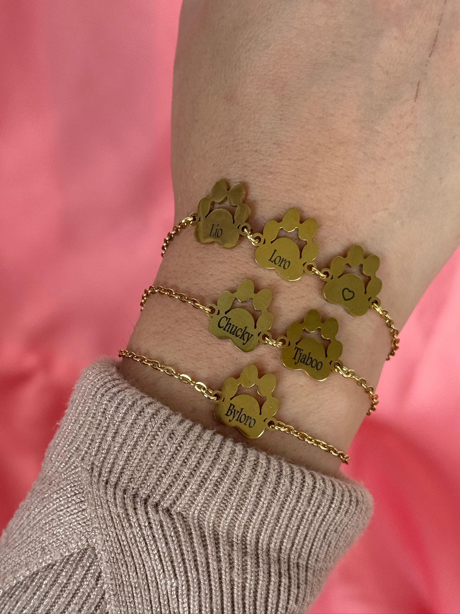 The Paw Connection Bracelet